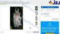 آگهی شوکه کننده در اینترنت+عکس