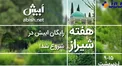 سرویس رایگان در جشنواره اردیبهشت برای کاربران تاکسی آنلاین ابیش در شیراز
