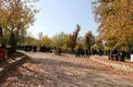 ماجرای عجیب نقشه 40 دانش‌آموز برای اخاذی از آقایان!