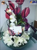 عکس/ هديه اكبر عبدى براى الناز شاكردوست