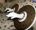 کشف اتاق مخفی برای دست بوسی فتح الله گولن+عکس