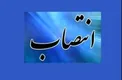 رئیس کمیته طرح و اجرای مسکن استیجاری کیش منصوب شد