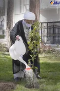 کاشت یک اصله نهال توسط آیت الله جنتی+عکس