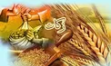 آیا زکات به پورشه و بنز تعلق می‌گیرد؟