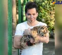 ببر خانگی بازیگر مشهور در آغوشش+عکس