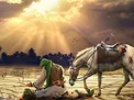 سرنوشت شوم قاتلان امام حسین (ع) پس از واقعه کربلا چه شد؟