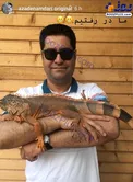 عکس/ حیوانی ترسناک روی دستان شوهر آزا‌ده نا‌مداری