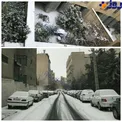 عکسی از برف در سعادت آباد تهران