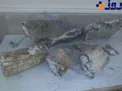 احتمال کشف آج فسیل شده توسط كارگران معدن+عکس