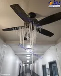 قندیل بستن پنکه سقفی به خاطر سرما+عکس