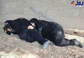 وحشت زنان لحظه حمله تروریستی در اهواز+عکس