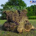 عکسی عجیب از یک لاک پشت بعد از خواب زمستانی