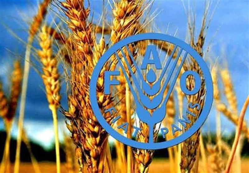 افزایش 2 درصدی قیمت جهانی مواد غذایی در سایه جنگ علیه ایران افزایش 2 درصدی قیمت جهانی مواد غذایی در سایه جنگ علیه ایران