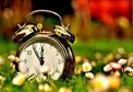 8 ترفند طلایی برای تنظیم ساعت بیولوژیک بدن با فصل بهار