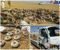 دستگيري ٥٦ عضو جبهة النصره /عكس