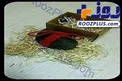 هدیه مفهومی دانشجویان به نماینده رشت!