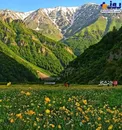 عکس/ دشت زیبای دریاسر تنکابن