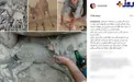 عكسي تكان دهنده در اينستاگرام ليلا اوتادي