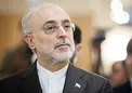 صالحی: دست ایران در مذاکرات وین از نظر فنی بسیار پر است
