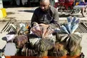 عکسی عجیب از یک صرافی وسط خیابان