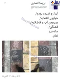 طرح جالب و دیده نشده در خیابان انقلاب +عکس