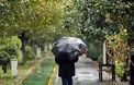 هواشناسی از رگبار و باد شدید تا پایان هفته در کشور خبر داد