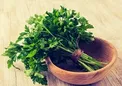 خواص سبزی جعفری؛ از درمان دیابت تا نابودی سنگ کلیه
