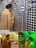 وزیر اطلاعات در حرم مطهر حضرت رقیه+عکس