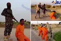 عکس/ ز‌نده شدن داعش در مصر!