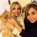 گربه خانگی خانم بازیگر + عکس
