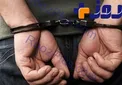 دستگیری عامل اغفال زنان در خیابان شیخ‌بهایی توسط پلیس امنیت +جزئیات