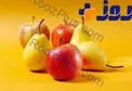میوه هایی که از ابتلا به بیماری ریوی پیشگیری می‌کند