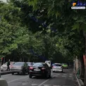 منظره زیبای یکی از خیابان های تهران + عکس