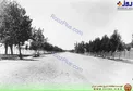 خیابان ولیعصر بدون آسفالت در تهران قدیم/عکس
