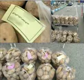 عکس/ تبليغات عجیب انتخاباتی شورای شهر با سيب‌زمينی!