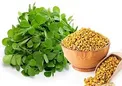 تیر خلاص شنبلیله به دیابت