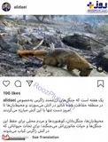 عکس/ واکنش علی دایی به آتش گرفتن جنگل های زاگرس