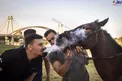 حیوان آزاری زشت و عجیب دو پسر اهوازی+عکس