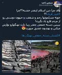 چرا دین اسلام اینقدر خشنه؟! +عکس