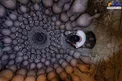 عکس/ نمای هوایی از یک کارگاه سفالگری