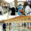 عکس/ دعا در مسجد النبی هنگام بارش رحمت الهی