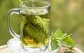 دمنوش‌هایی که دیابت را فیتیله‌پیچ می‌کنند +دستورالعمل