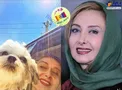 سلفی کتایون ریاحی با سگش در ماشین+عکس
