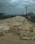 عکس/ جاری شدن سیل در خیابان‌های روستای ارومیه