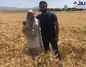 عاشقانه های بهاره رهنما و همسرش در میان خوشه های گندم+عکس
