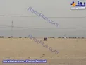 عکس/ تنها خودروی جامانده از اربعین در پارکینگ مهران
