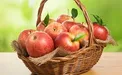 دسری که مو‌هایی پرپشت به شما هدیه می‌دهد +دستورتهیه