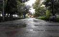 هواشناسی: باران پراکنده سواحل خزر را در برمی‌گیرد