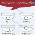 اینفوگرافیک/ چگونه سن تخم‌مرغ را تشخیص دهیم