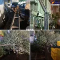 عکس/ شکسته شدن تیر چراغ برق و درختان در تهران پس از تندباد